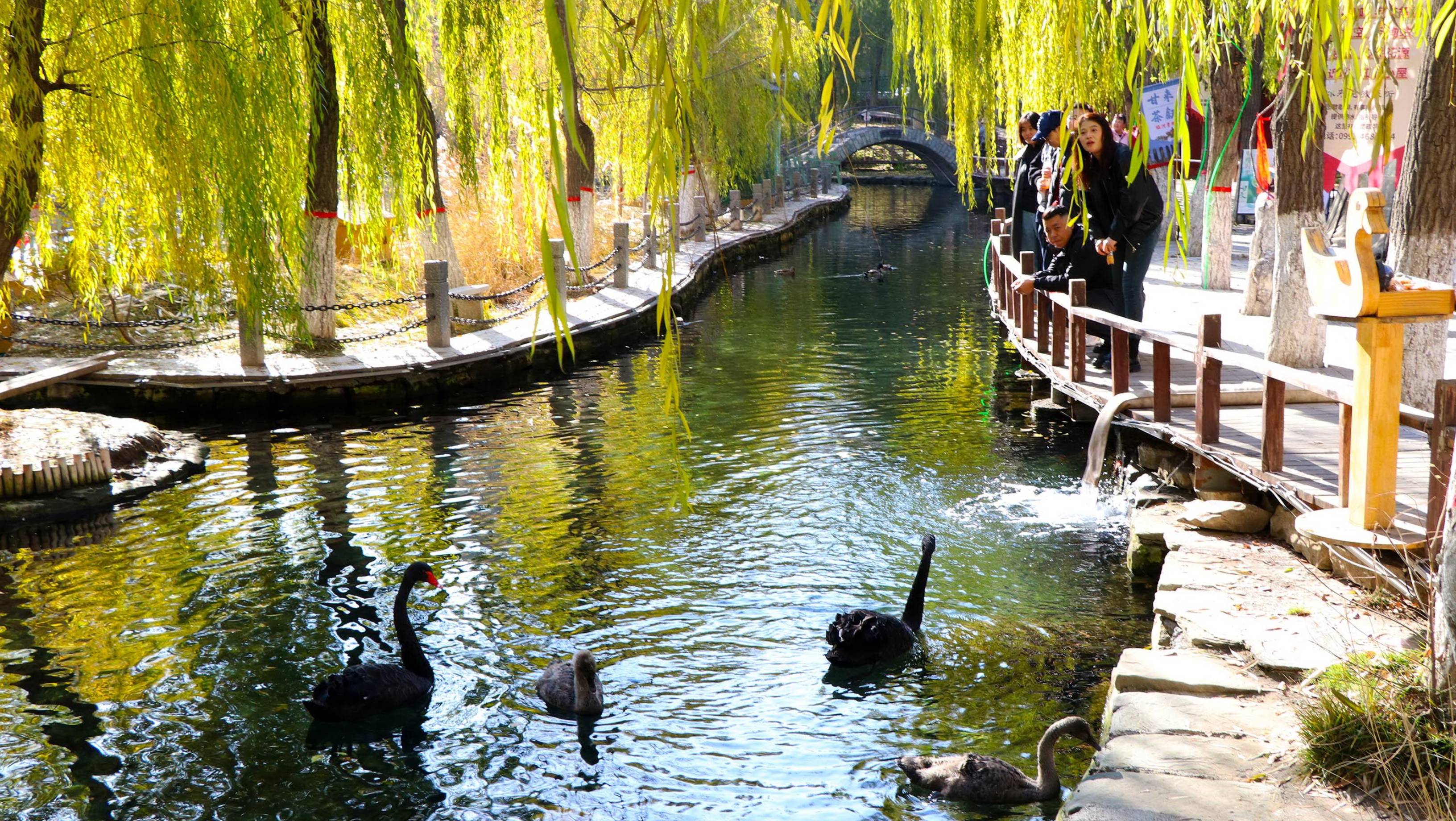 Cum a devenit regiunea chineză controversată Xinjiang un paradis turistic: „Ceea ce experimentează este o versiune cosmetizată”