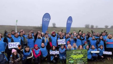 angajati digi-padurea digi