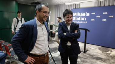 nicusor dan vlad voiculescu