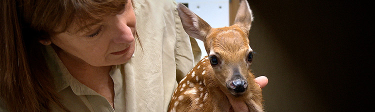 Speranță pentru natură: Generația următoare | ep. 2