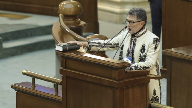 dumitru manea sos parlament senat