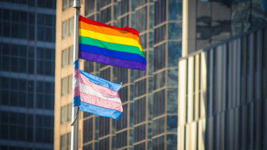 steag trans pride LGBTQ+