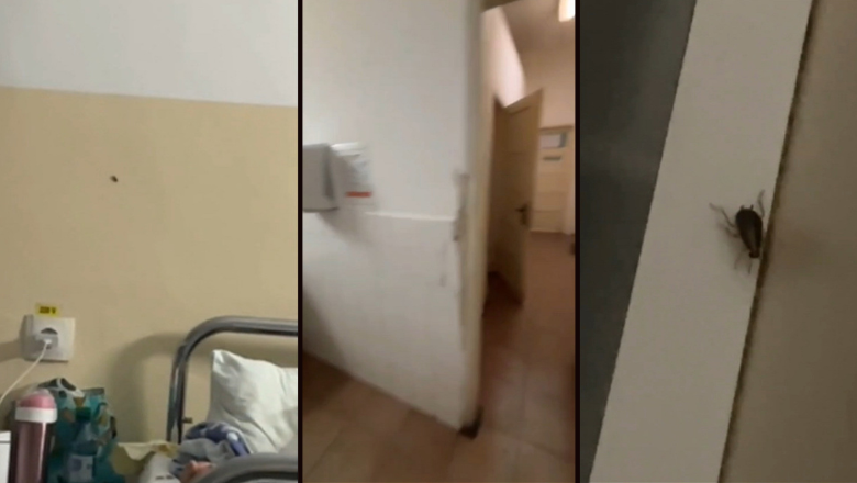 Imagini de groază la Spitalul din Slatina, filmate de pacienți: saloane pline de gândaci și toalete insalubre. DSP face verificări