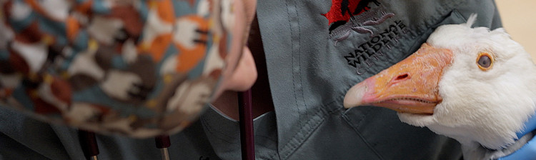 Speranță pentru natură: Generația următoare | ep. 3