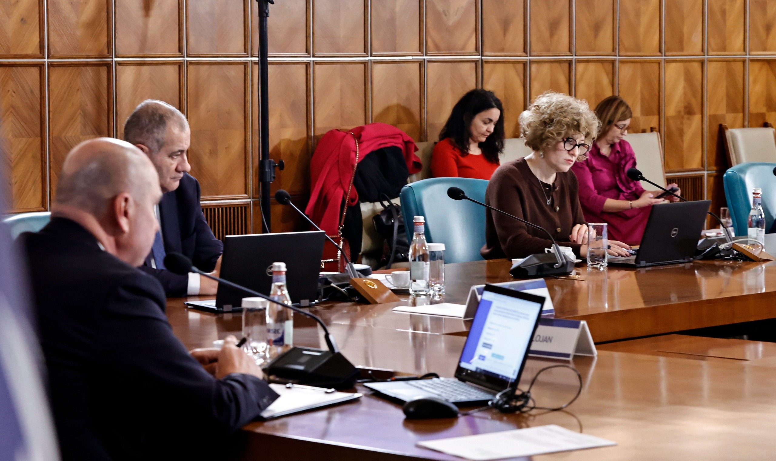 Ilie Bolojan a stabilit atribuţiile Oanei Gheorghiu. Cu ce se va ocupa noua viceprim-ministră la Palatul Victoria