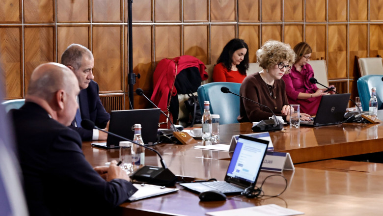 ili bolojan si oana gheorghiu la sedinta de guvern