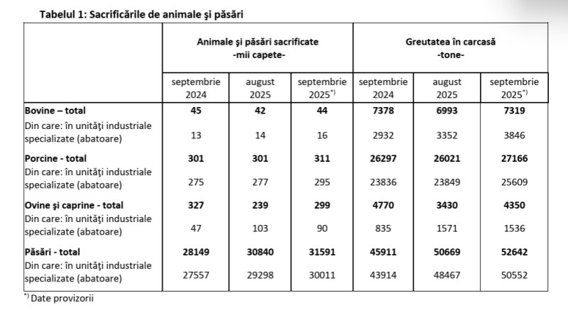 Screenshot 2025-11-11 090331