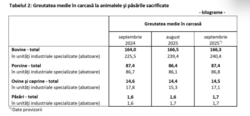 Screenshot 2025-11-11 090341