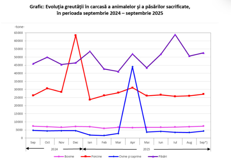 Screenshot 2025-11-11 090356