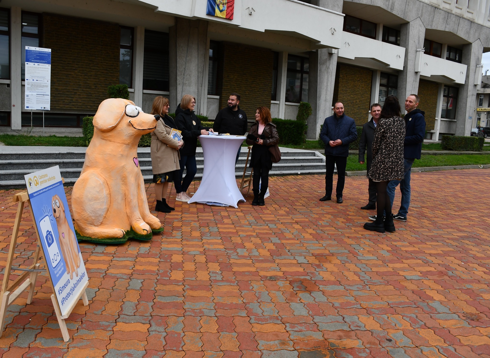 Mascota „Bobiță”, amplasată în centrul Piteștiului pentru a-i determina pe oameni să-şi sterilizeze animalele, stârnește controverse