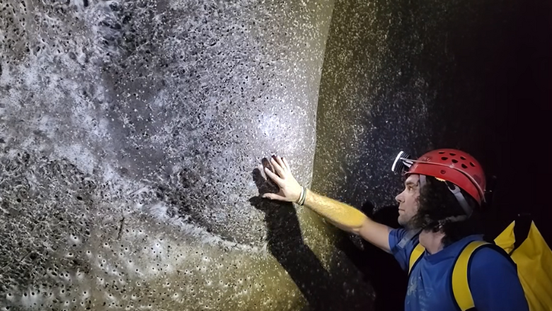 „Ceva extraterestru”. Cea mai mare pânză de păianjen din lume, descoperită de un cercetător român în Europa. Cum explică el fenomenul