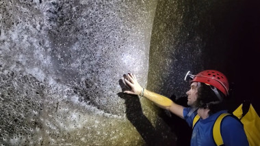 Urák István si panza de paianjen