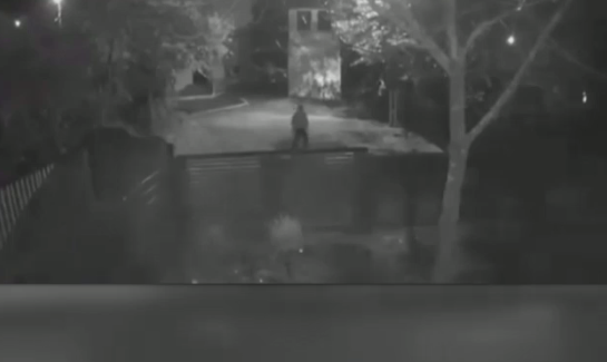 A fost reținut tatăl criminalului din Teleorman. Anchetatorii bănuiesc că acesta știa că fiul său se duce să-și ucidă soția