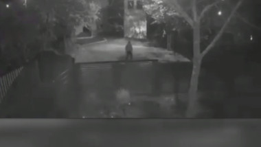 criminal beciu teleorman