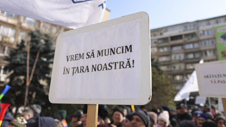 ID293022_INQUAM_Photos_Octav_Ganea