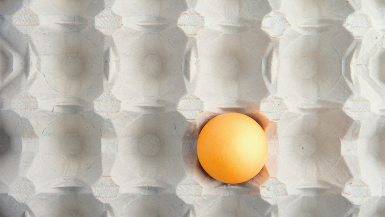 Yellow egg in carton