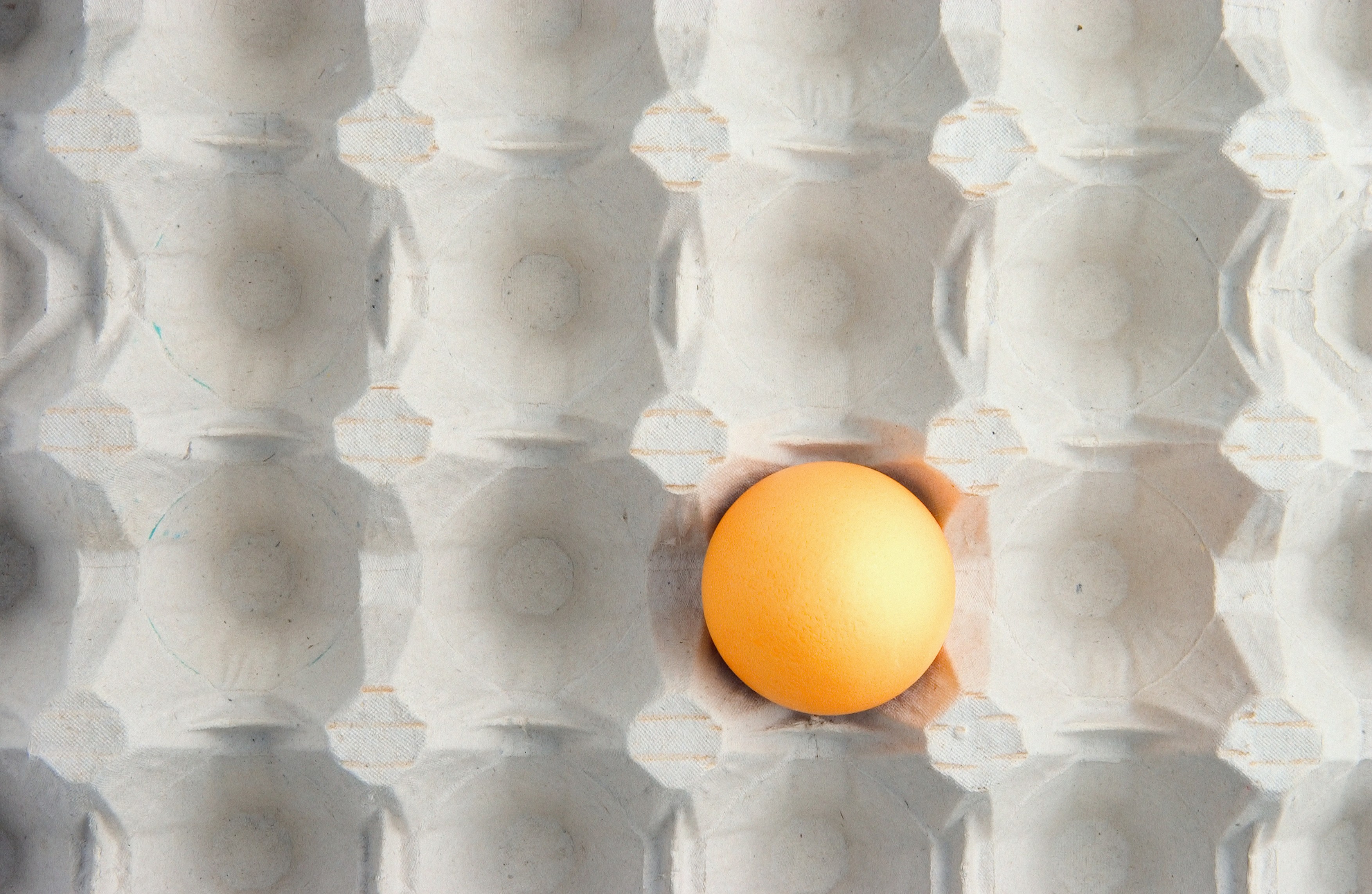 Motivul pentru care în unele magazine se găsesc tot mai puține ouă: Fermierii le exportă pentru că primesc bani mai mulți