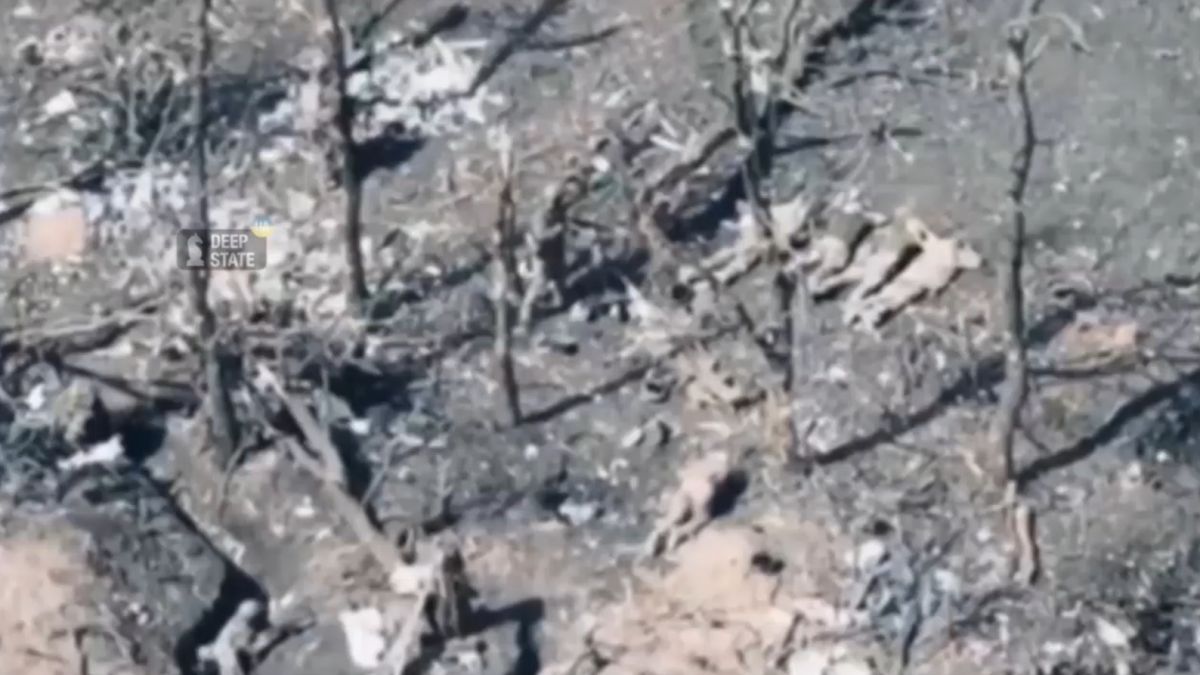 Un nou videoclip arată cum cinci prizonieri de război ucraineni, întinși la pământ, ar fi fost executați de către ruși