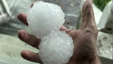 grindina uriasa australia