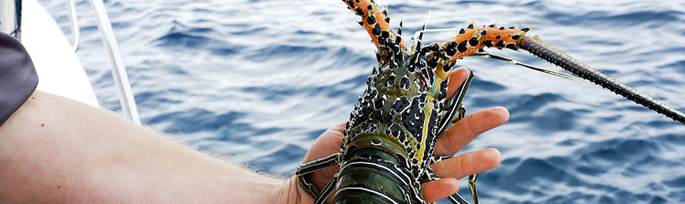 Pescuit în Pacificul de Sud | s3 ep. 11