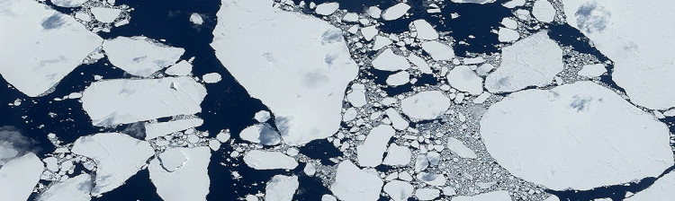 Antarctica dezvăluită | ep. 1