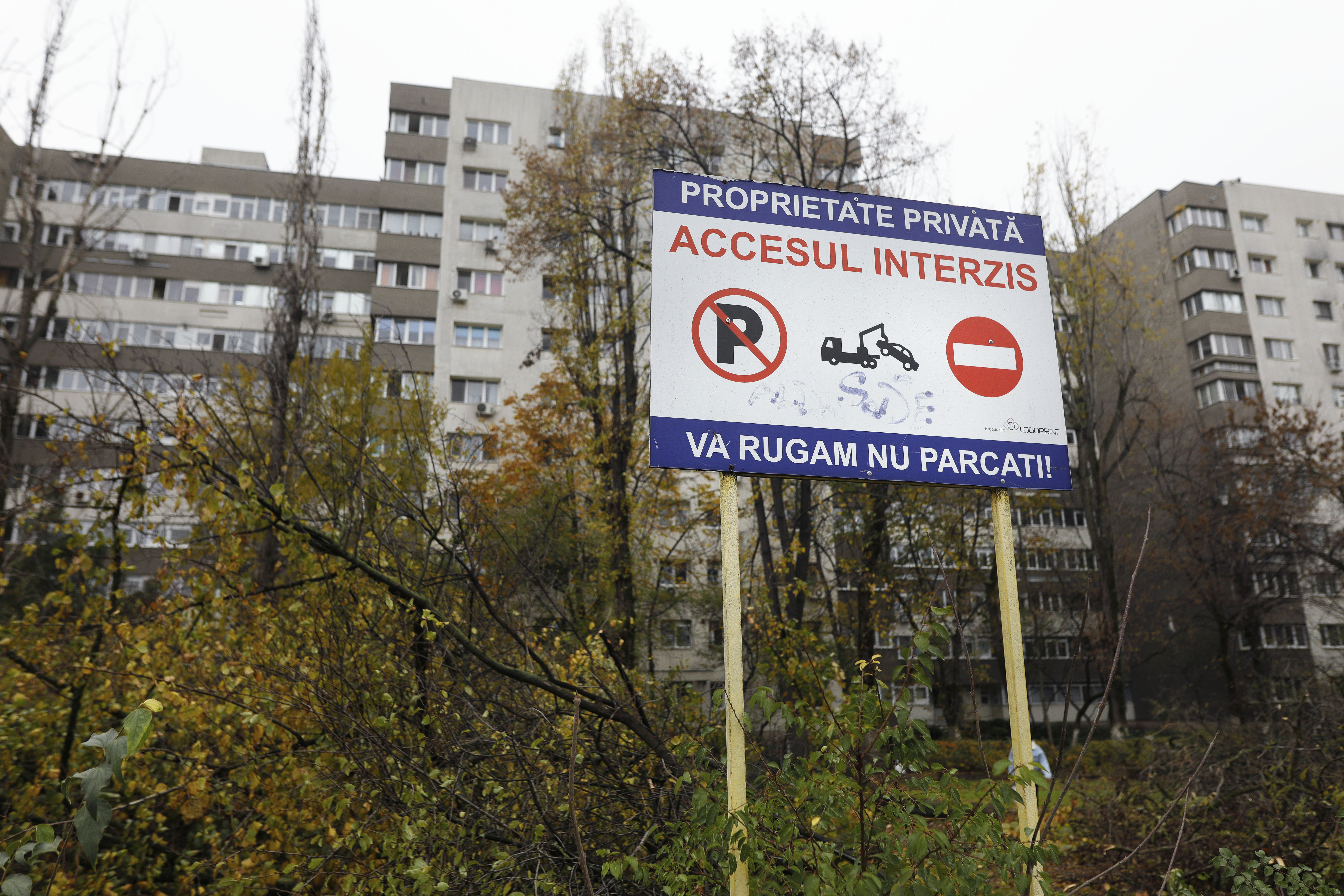 Scandal în zona retrocedată din Parcul IOR. Administratorul tăia copaci, deşi nu avea autorizaţie. Polițiștii locali, anchetați acum de