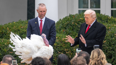 donald trump - gratiere curcan - noiembrie 2025