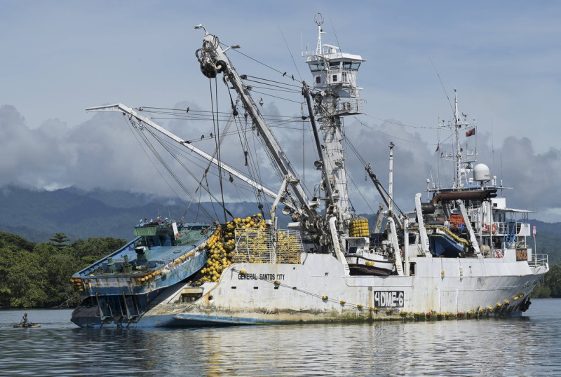 Papua New Guinea, Tuna fishing PAPUA NEW GUINEA, Madang, Alexishafen, Tuna fishing vessel of RD Fishing PNG Ltd, tuna fi