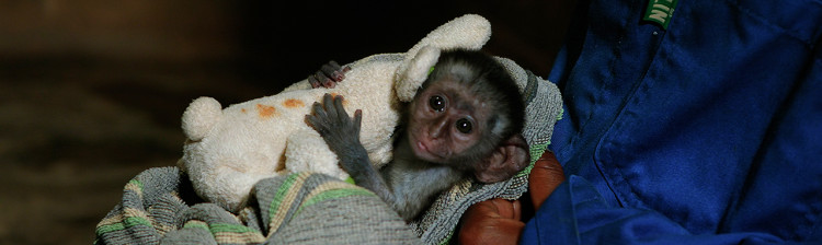 În ajutorul sǎlbǎticiei: Malawi | s1 ep. 4