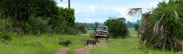 În ajutorul sǎlbǎticiei: Malawi | s1 ep. 6