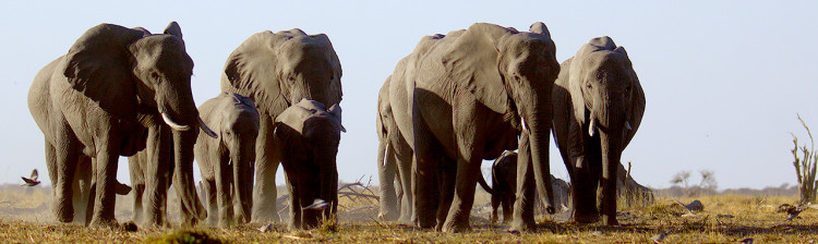 Sălbatic, cerul | ep. 3