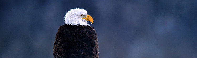 Sălbatic, cerul | ep. 2