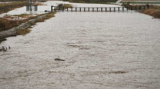 „Apele Române”: Situaţia la Paltinu este „critică”, s-a intervenit de urgenţă pentru schimbarea filtrelor. Cât ar putea dura criza