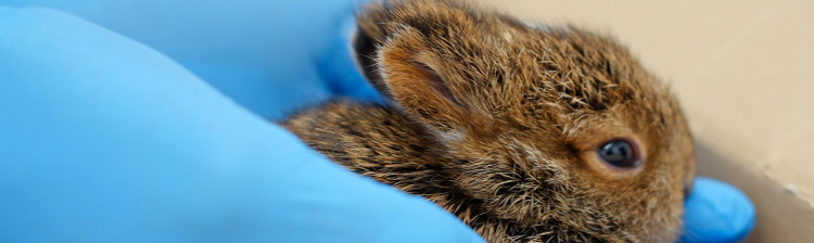 Speranță pentru natură: Generația următoare | ep. 5