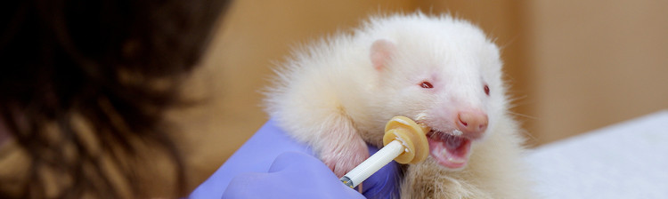 Speranță pentru natură: Generația următoare | ep. 6