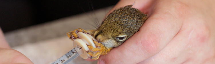 Speranță pentru natură: Generația următoare | ep. 8