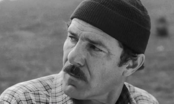 A murit actorul Virgil Andriescu