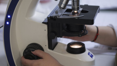 cercetator inquam octav ganea