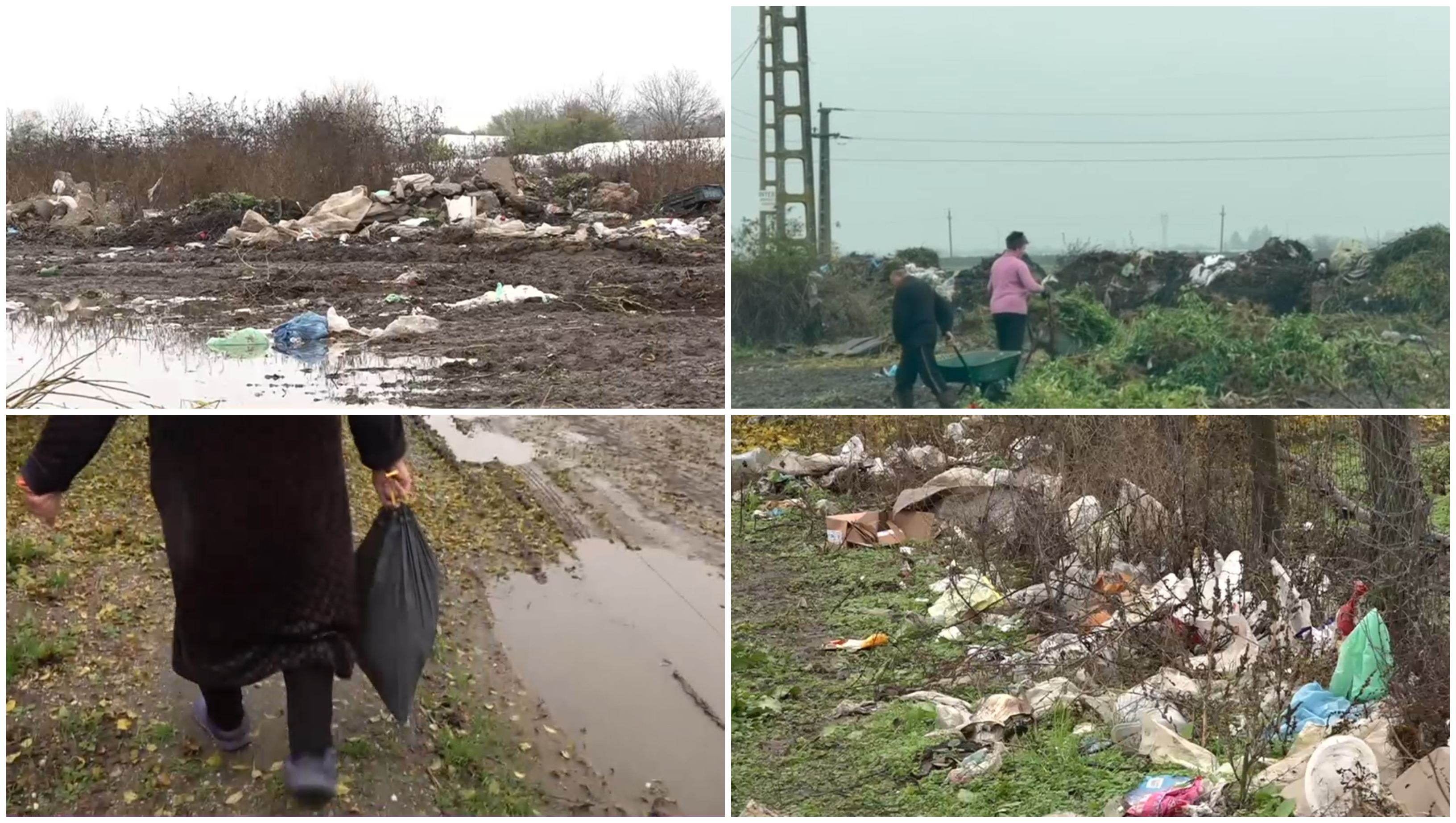 Imagini revoltătoare: câmpuri sufocate de gunoaie într-o comună din Olt. Localnicii și primarul se învinovățesc reciproc