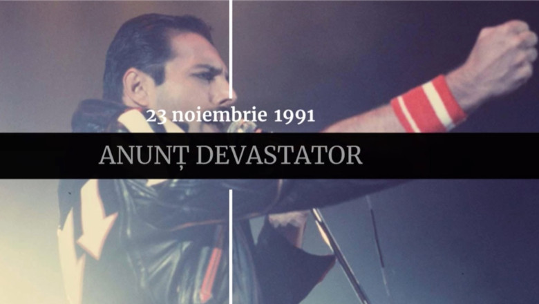 digistoria freddie