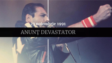 digistoria freddie