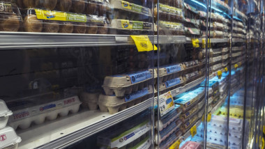 oua magazin cartoane cu oua cartoane de oua