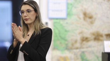 diana buzoianu in birou