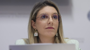 diana buzoianu la o sedinta