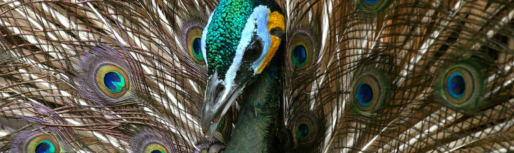 Misterele râului Mekong | ep. 2