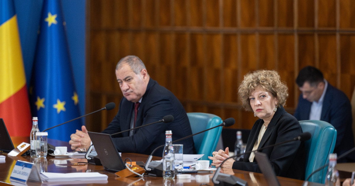 Guvernul a stabilit primele 17 companii care intră în procesul de reformă. Care sunt acestea și cum au fost selectate