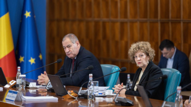 sed guv oana gheorghiu