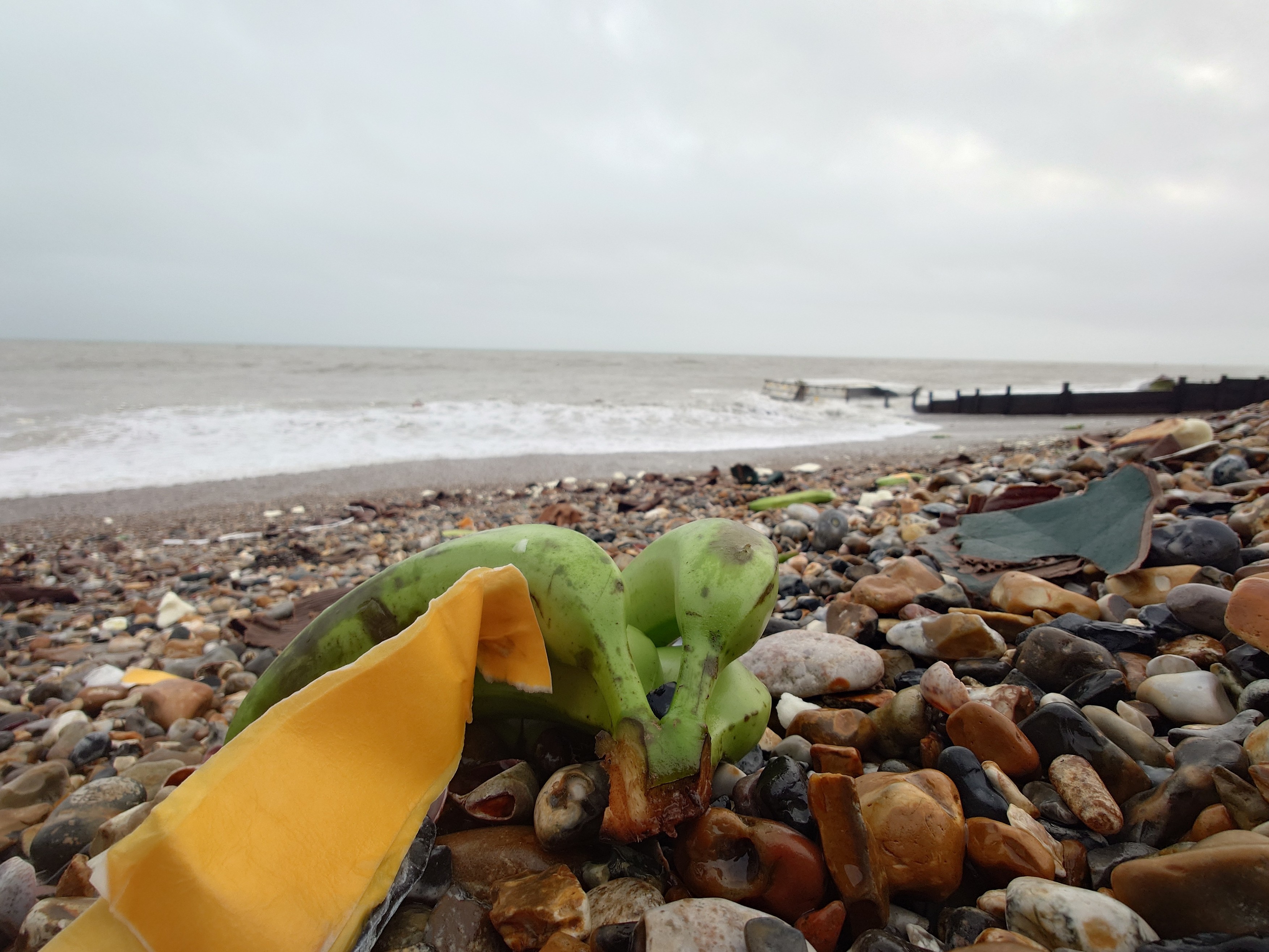 „Invazie” de banane pe plajele din sudul Angliei: ce s-a întâmplat