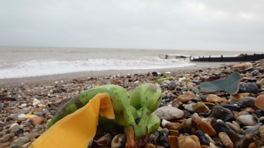 Containers of fruit fall into sea