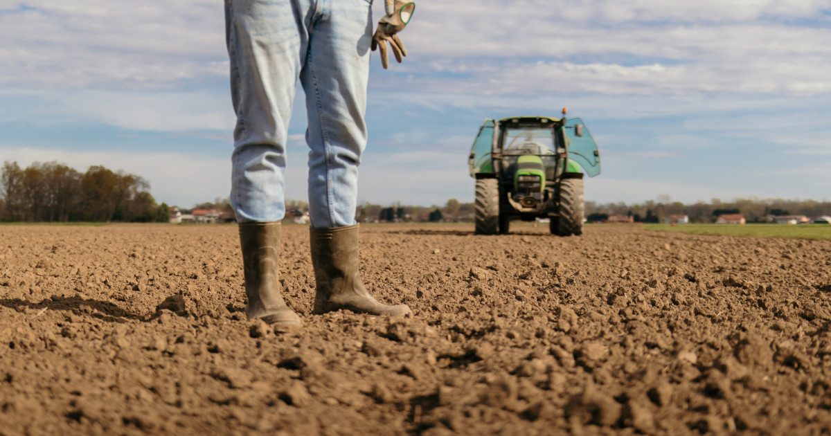 Motiv de bucurie pentru fermierii din sudul țării: a început reabilitarea sistemelor de irigații. Când vor fi puse în funcțiune